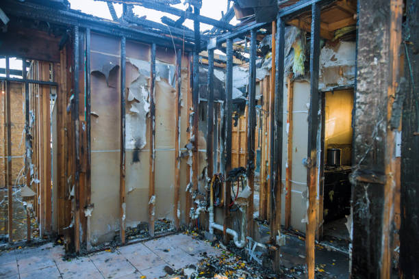 Professional Fire Damage Assessment technician working in Meridian, ID